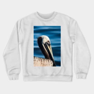 Grooming Pelican 2 Crewneck Sweatshirt